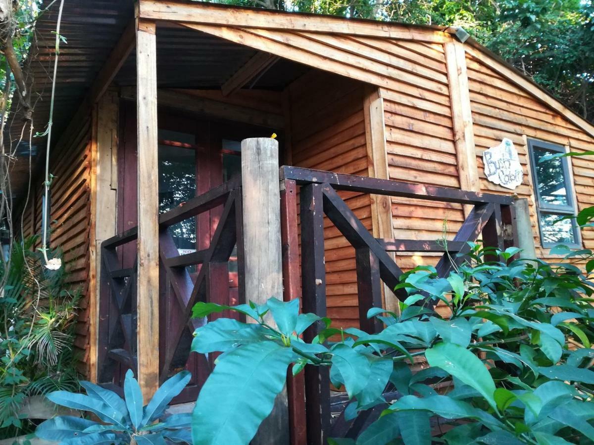Beach Wood Cottages シェリービーチ エクステリア 写真